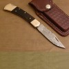 Lock Back Folding Knife
