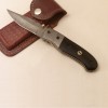 Liner Lock Folding Knife
