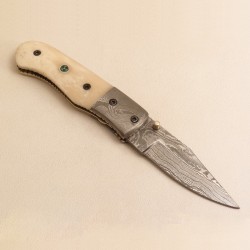 Liner Lock Folding Knife