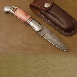 Lock Back Folding Knife