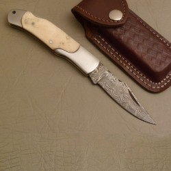 Lock Back Folding Knife