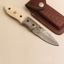 Liner Lock Folding Knife