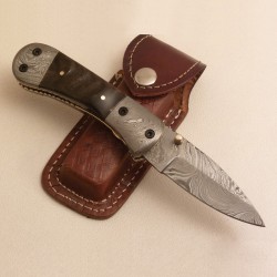 Liner Lock Folding Knife