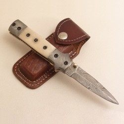 Liner Lock Folding Knife