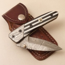 Liner Lock Folding Knife
