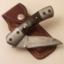 Liner Lock Folding Knife